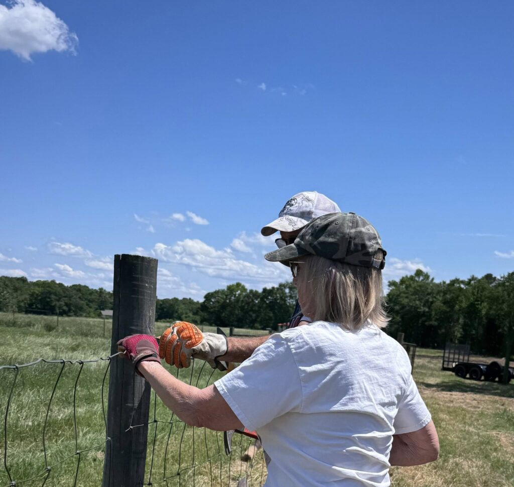 fence mending 2